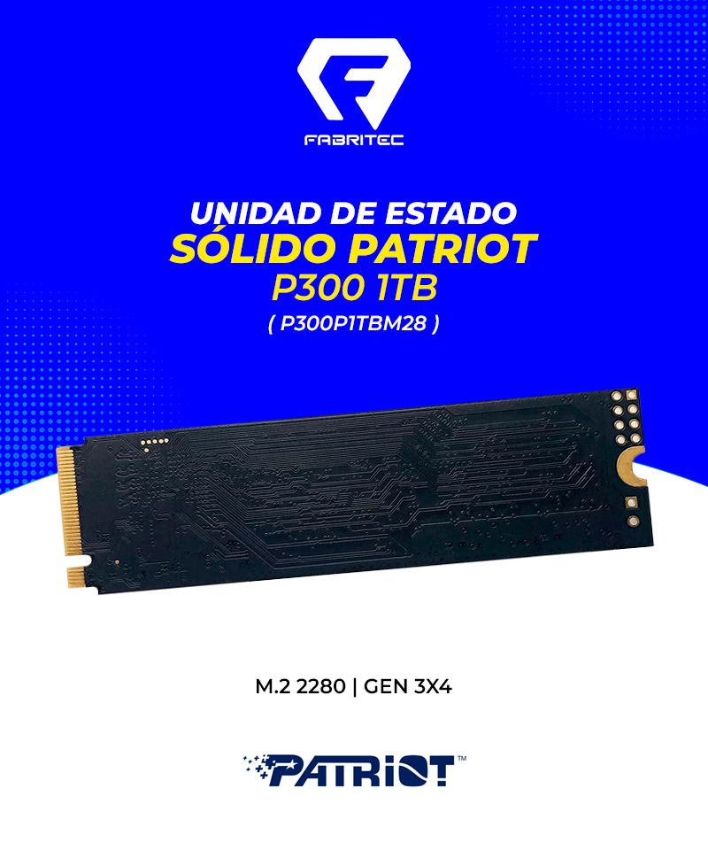 P300P1TBM28
