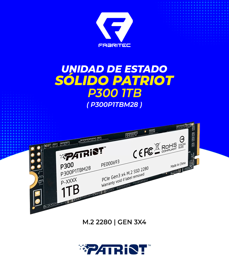P300P1TBM28