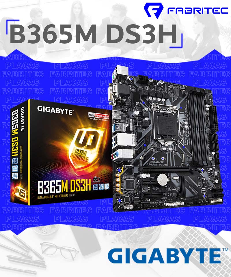 B365M  DS3H