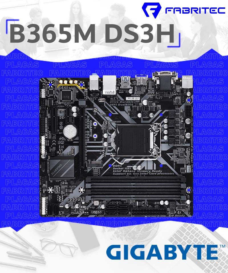 B365M  DS3H