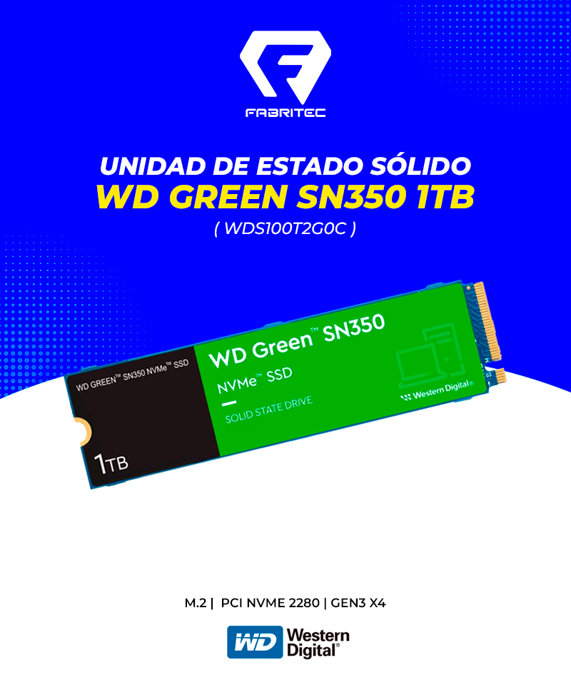 WDS100T2G0C
