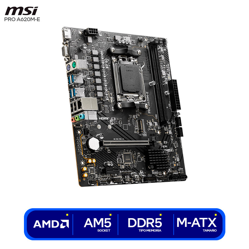 PRO A620M-E