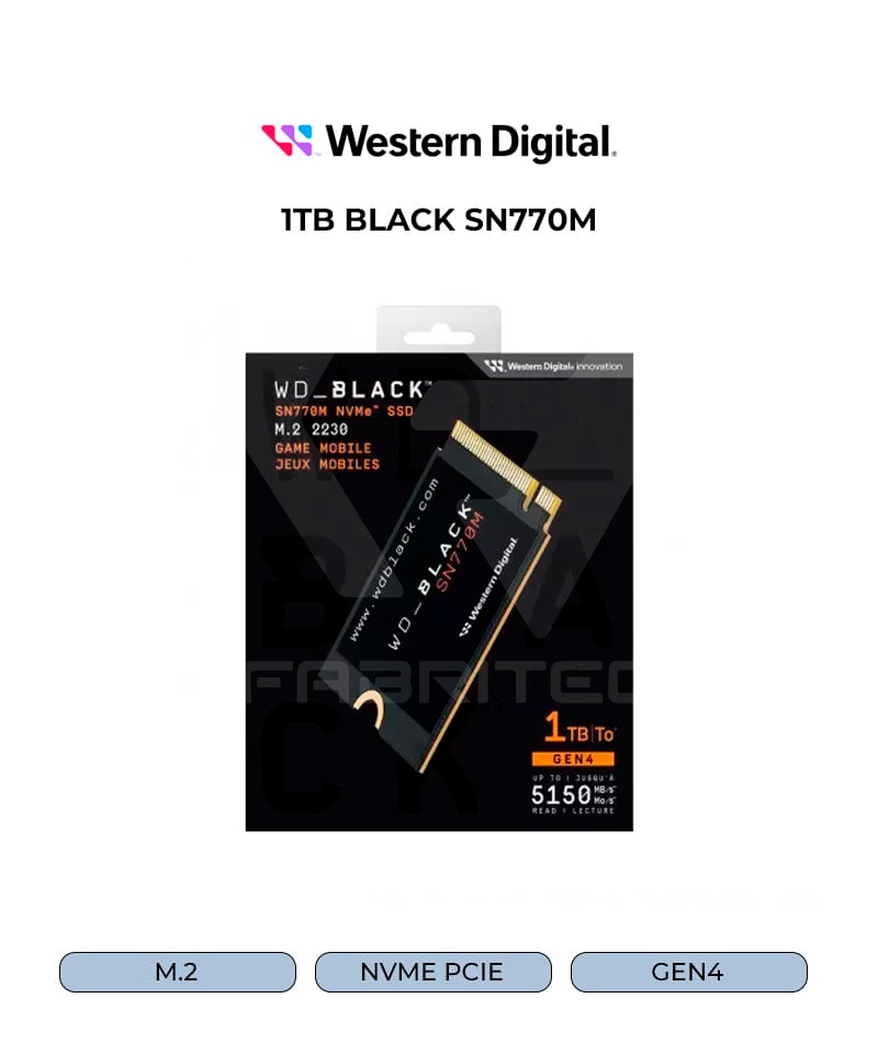 WDS100T3X0G