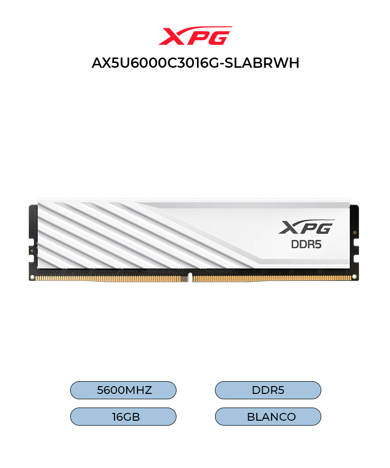 AX5U5600C4616G-SLABWH