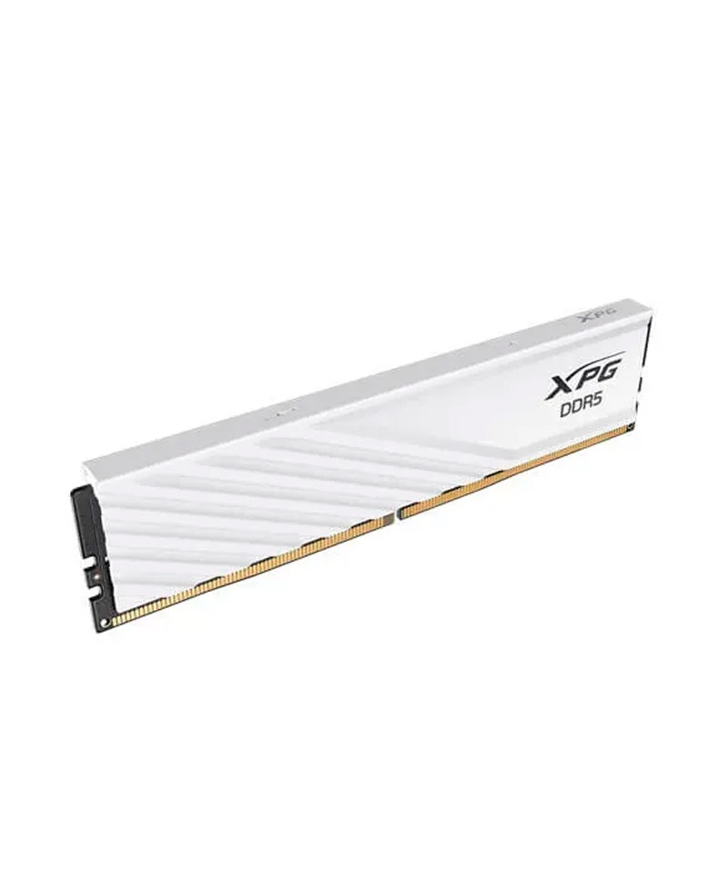 AX5U5600C4616G-SLABWH