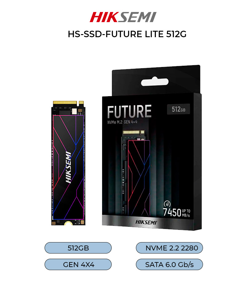 HS-SSD-FUTURE LITE 512G