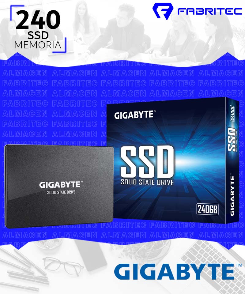 GP-GSTFS31240GNTD
