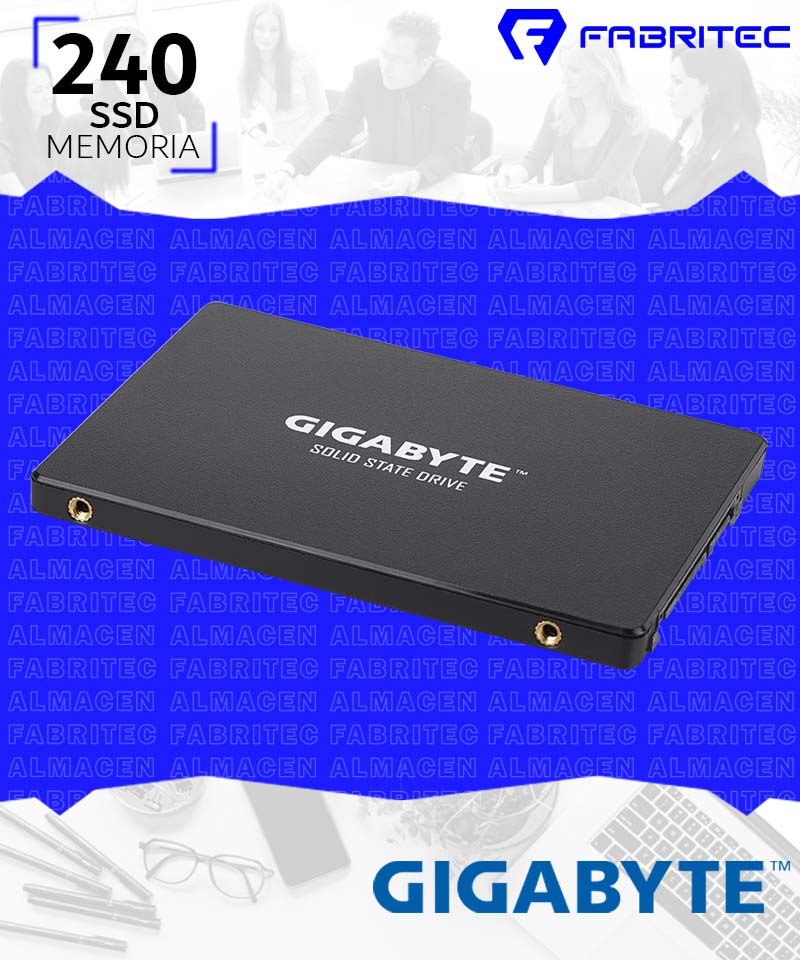 GP-GSTFS31240GNTD