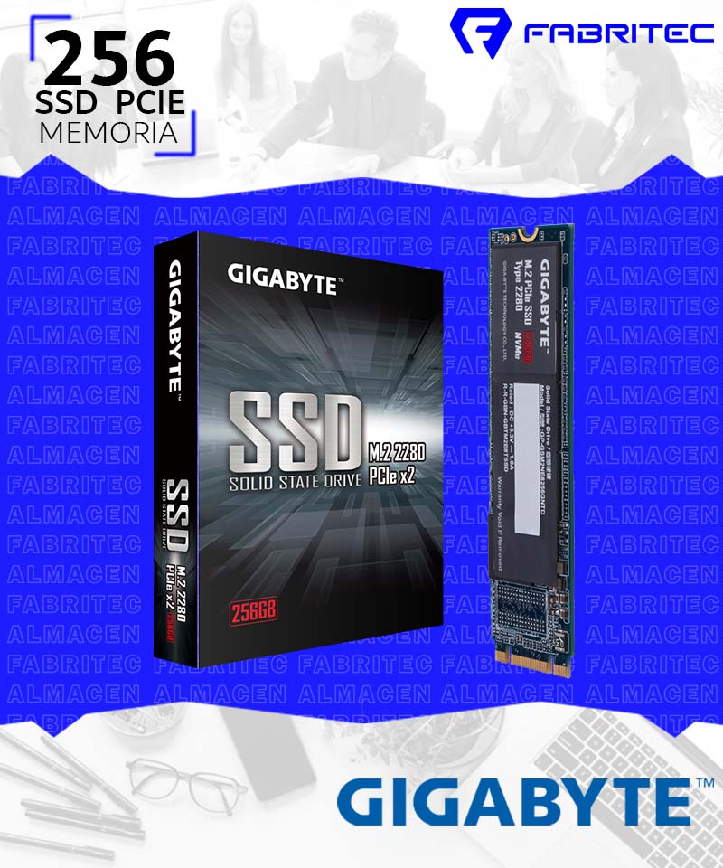 GP-GSM2NE3256GNTD