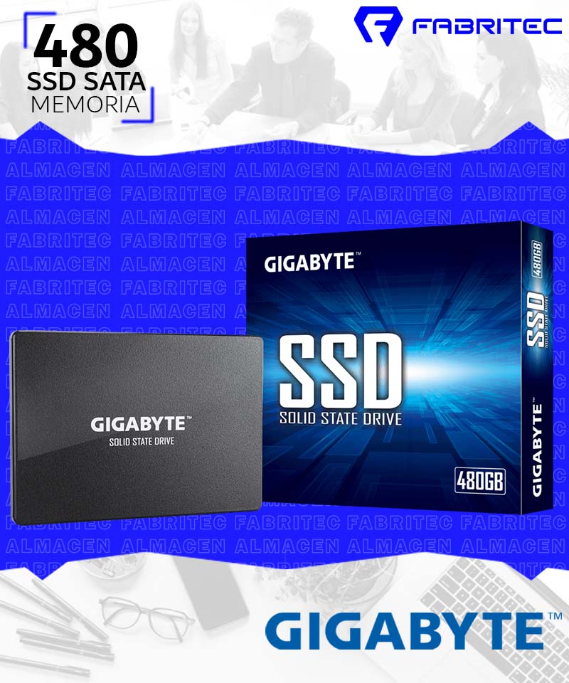 GP-GSTFS31480GNTD