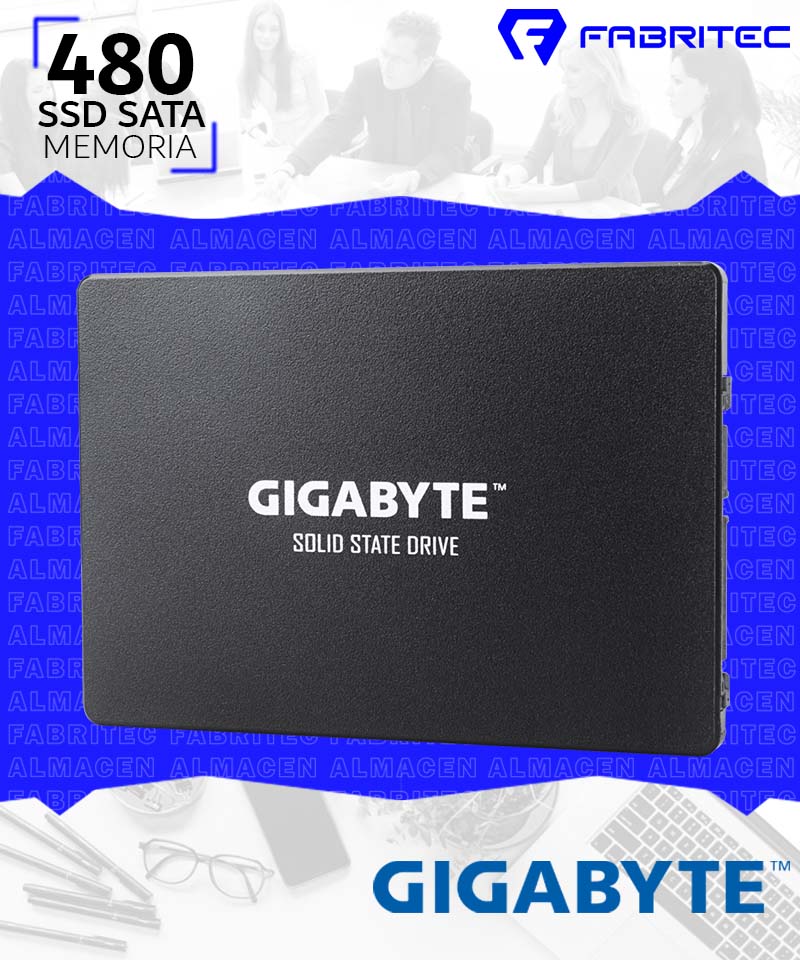 GP-GSTFS31480GNTD