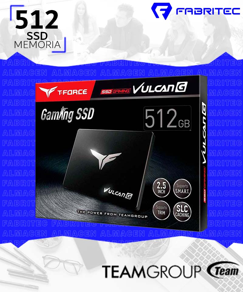 T253TG512G3C301