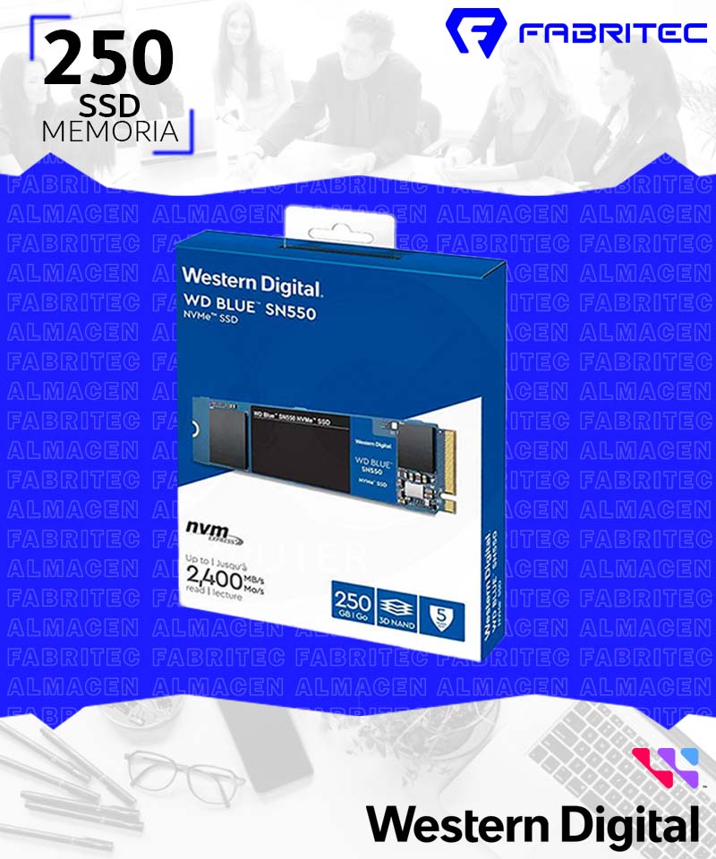 WDS250G2B0C