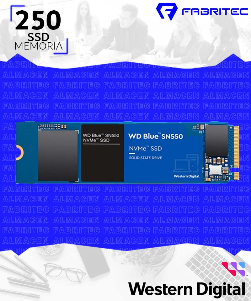 WDS250G2B0C