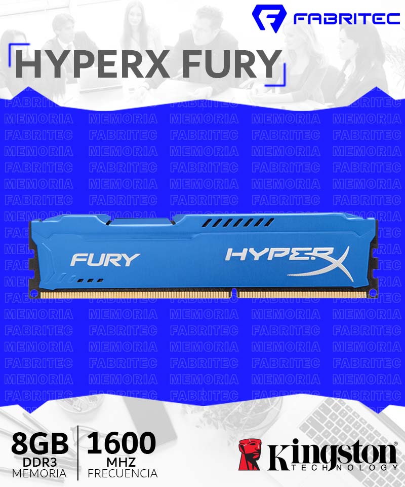 HX316C10F/8