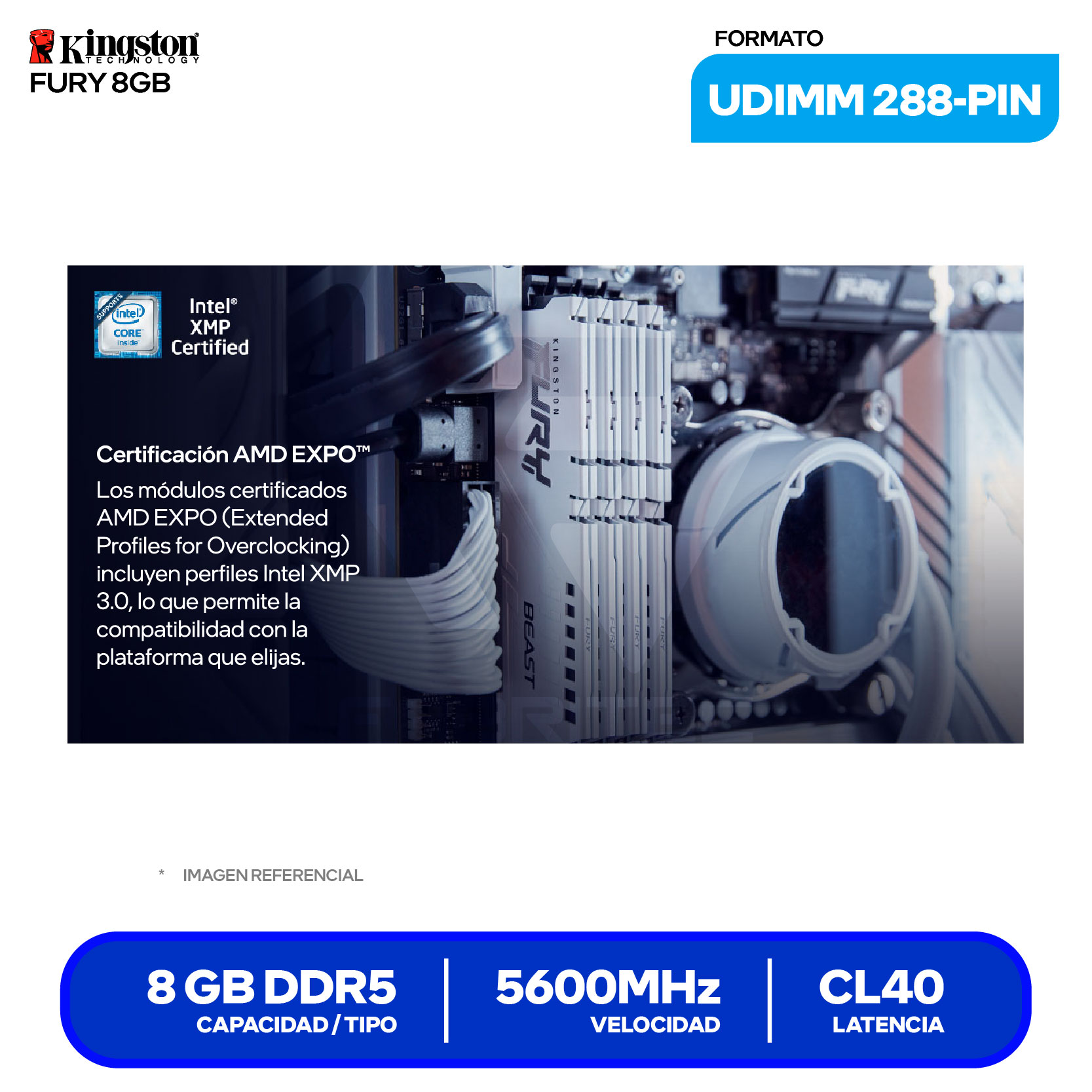 2586-memoria-ram-kingston-fury-beast-8gb-(-kf556c40bb-8-)_4