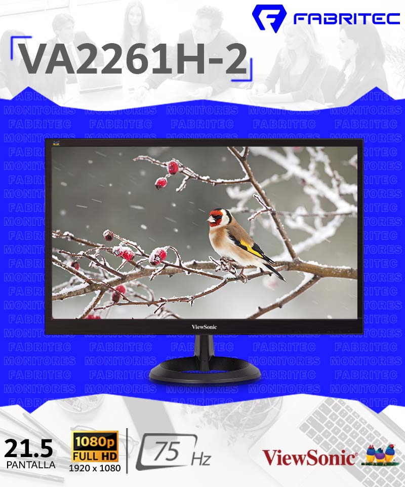 VA2261H-2