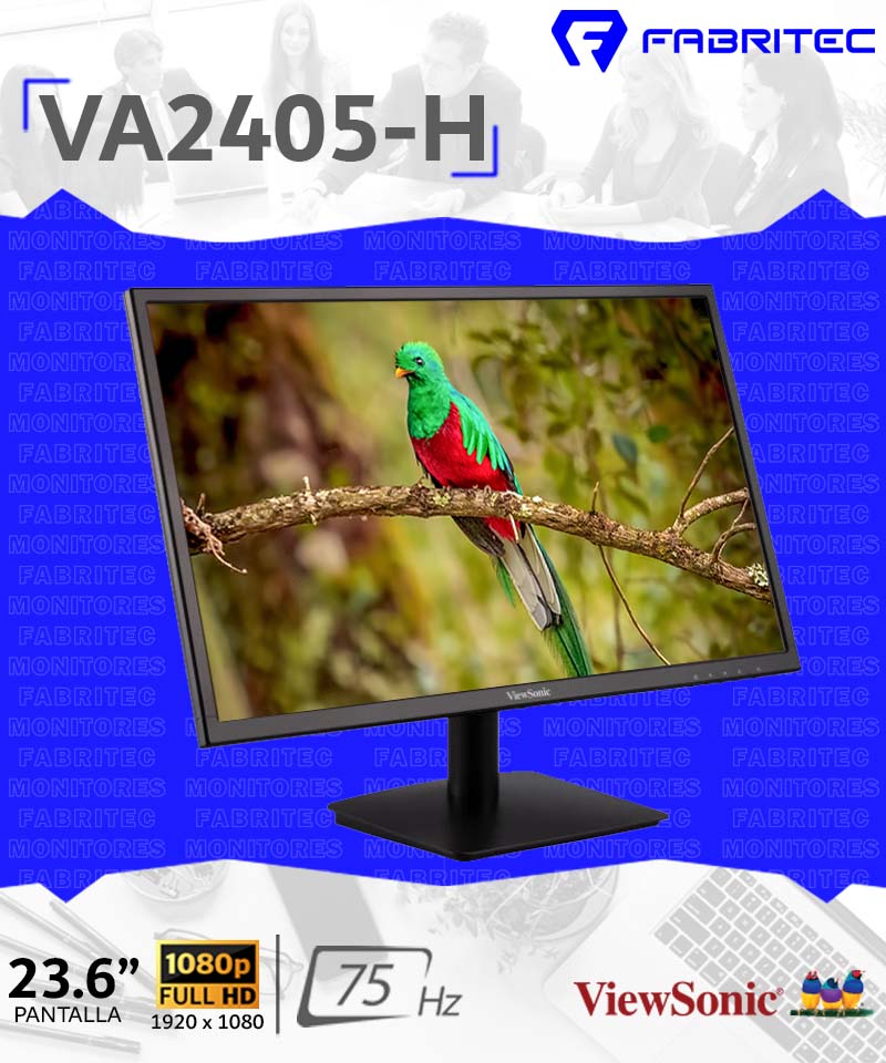 VA2405-H