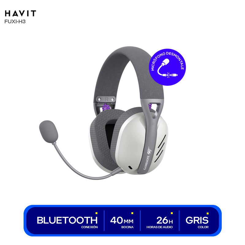 ( HVGMH-FUXI-H3-GY )