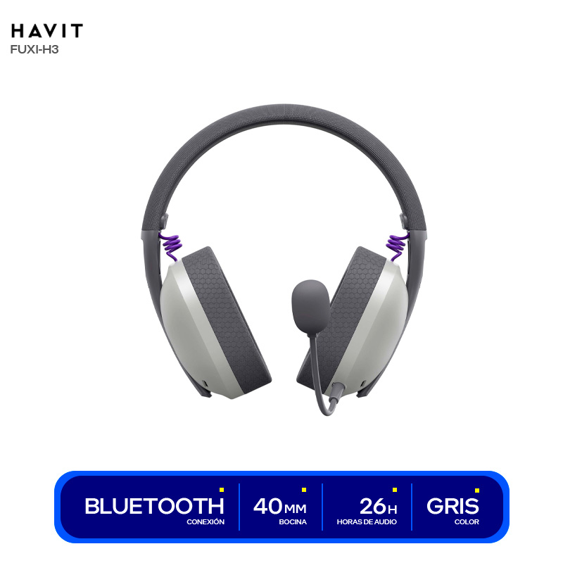 ( HVGMH-FUXI-H3-GY )