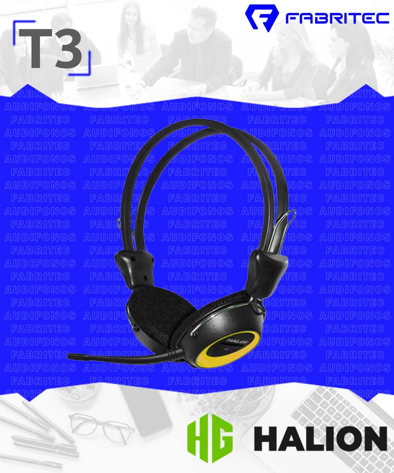 T3