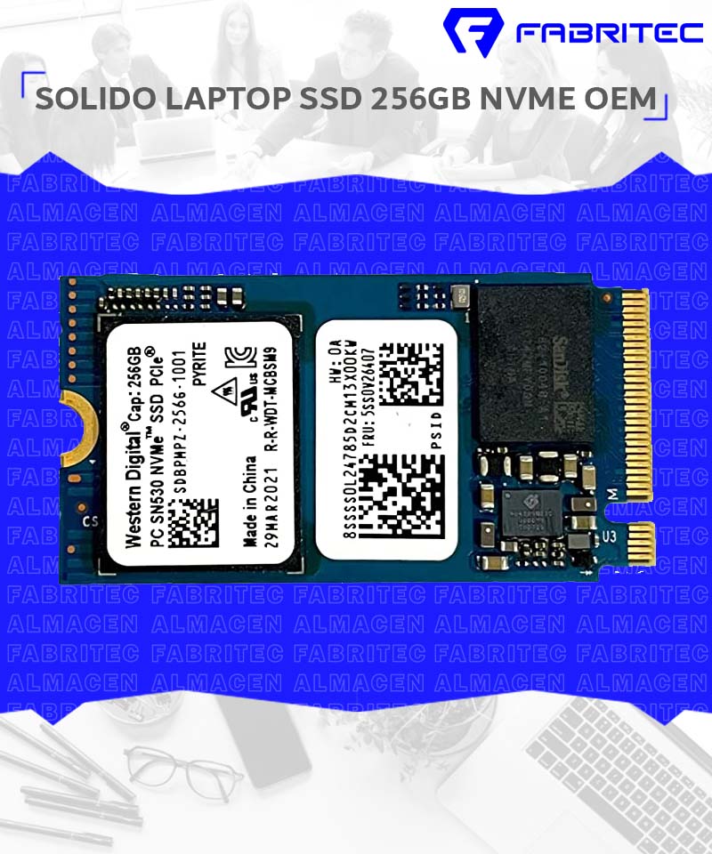 256GB NVME OEM