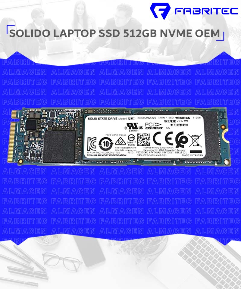 512GB NVME OEM