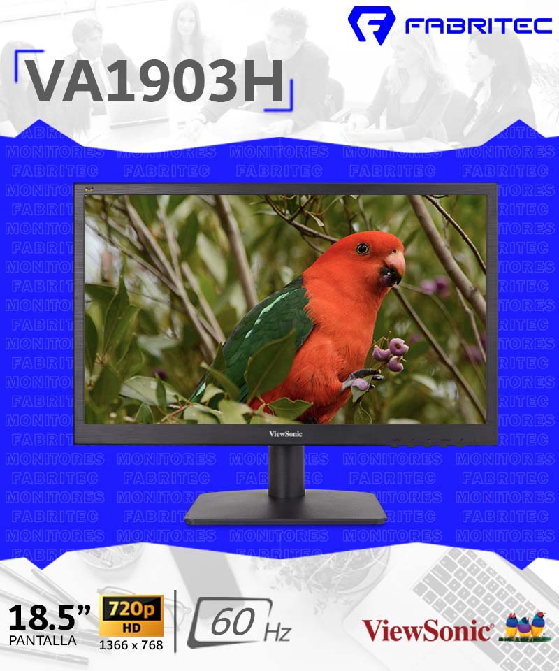 VA1903H