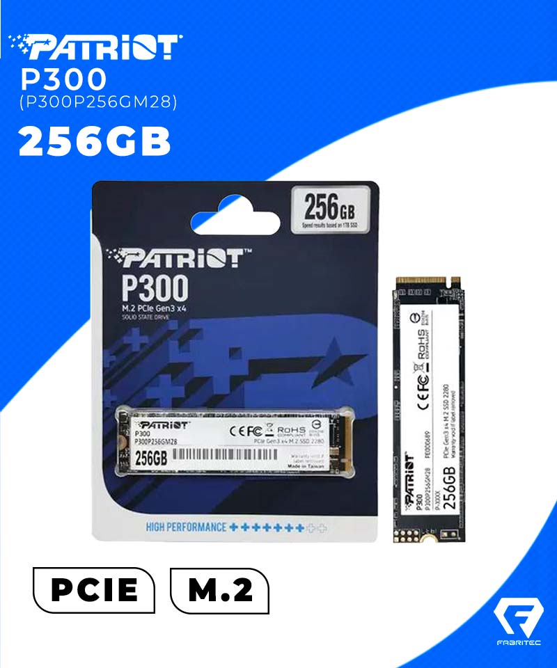 P300P256GM28