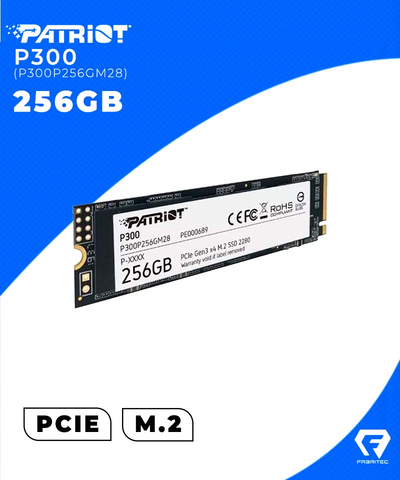 P300P256GM28